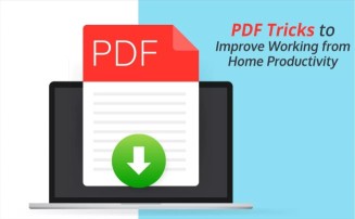 The Evolution of PDF to Word Conversion: Why It's More Important Than Ever